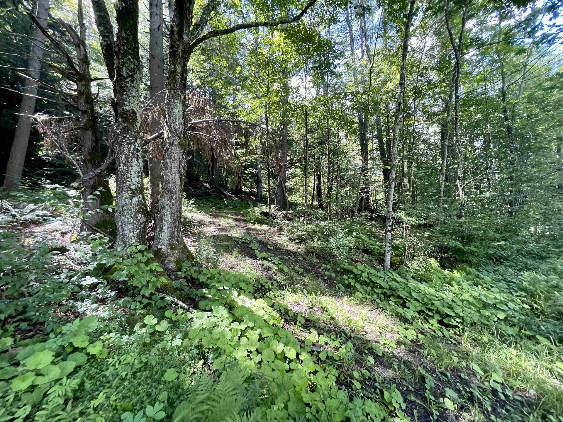 00 Turnpike Road Strafford VT 05070