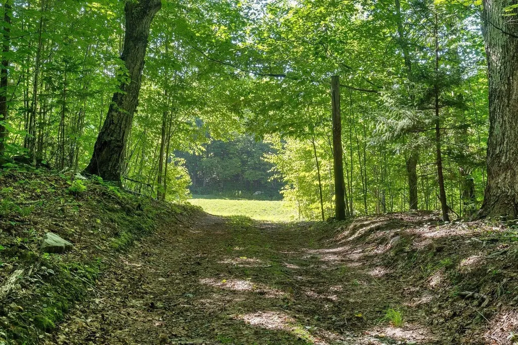 528 & 540 Nichols Hill Road Dorset VT 05251