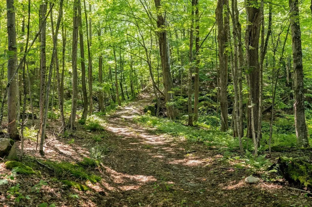 528 & 540 Nichols Hill Road Dorset VT 05251