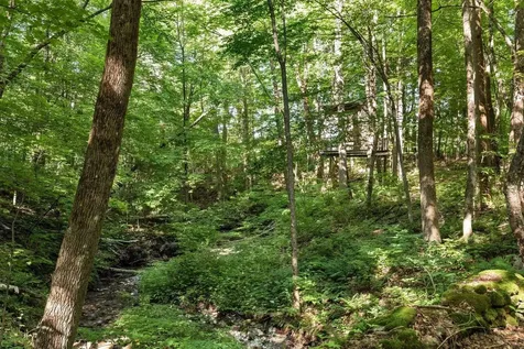 528 & 540 Nichols Hill Road Dorset VT 05251