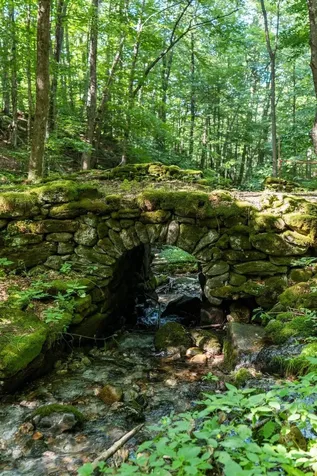 528 & 540 Nichols Hill Road Dorset VT 05251