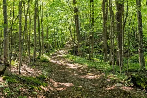 528 & 540 Nichols Hill Road Dorset VT 05251