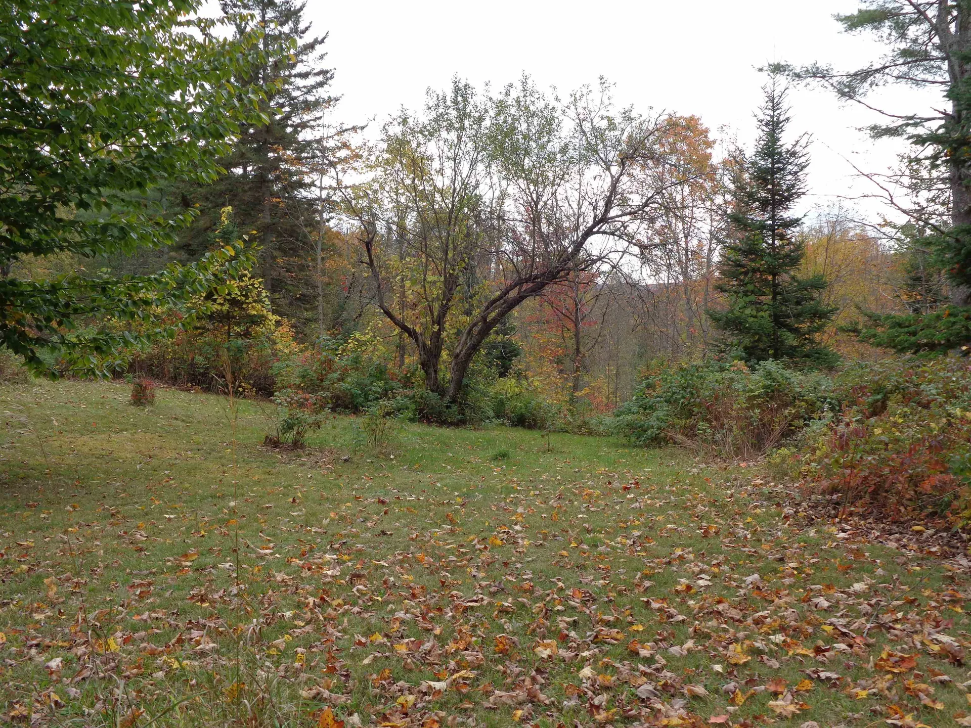 267 Coppermine Road Corinth VT 05039
