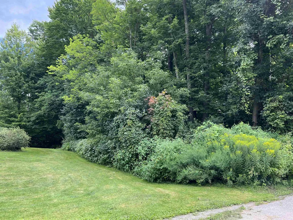 58 Wright Court South Burlington VT 05403