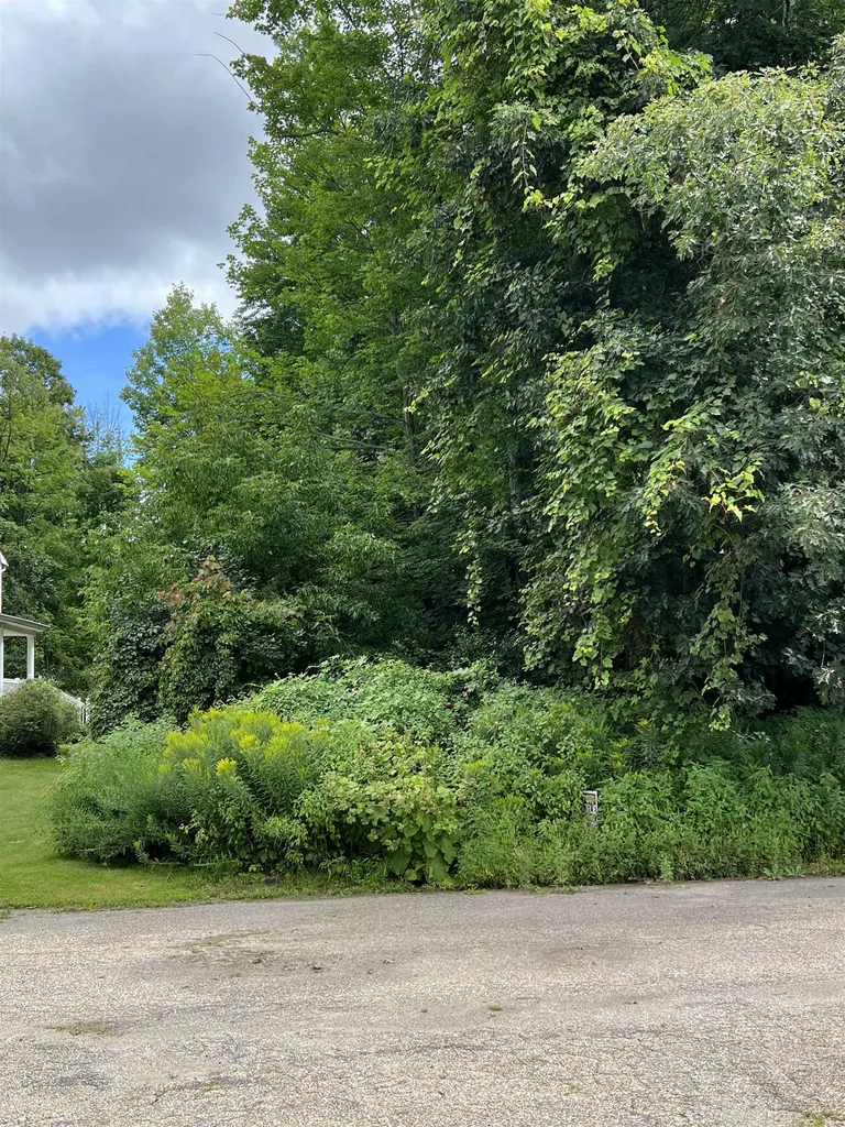 58 Wright Court South Burlington VT 05403