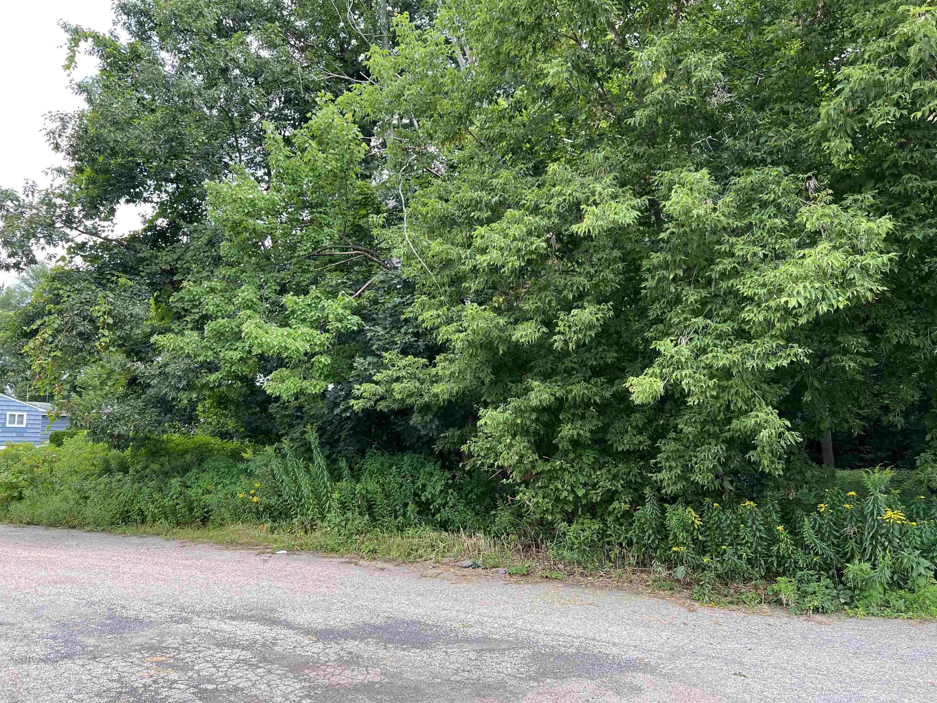 58 Wright Court South Burlington VT 05403