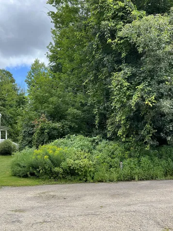 58 Wright Court South Burlington VT 05403