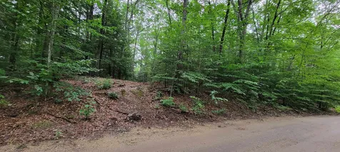 Map 22 - Lot 60 Red Oak Road Barnstead NH 03225