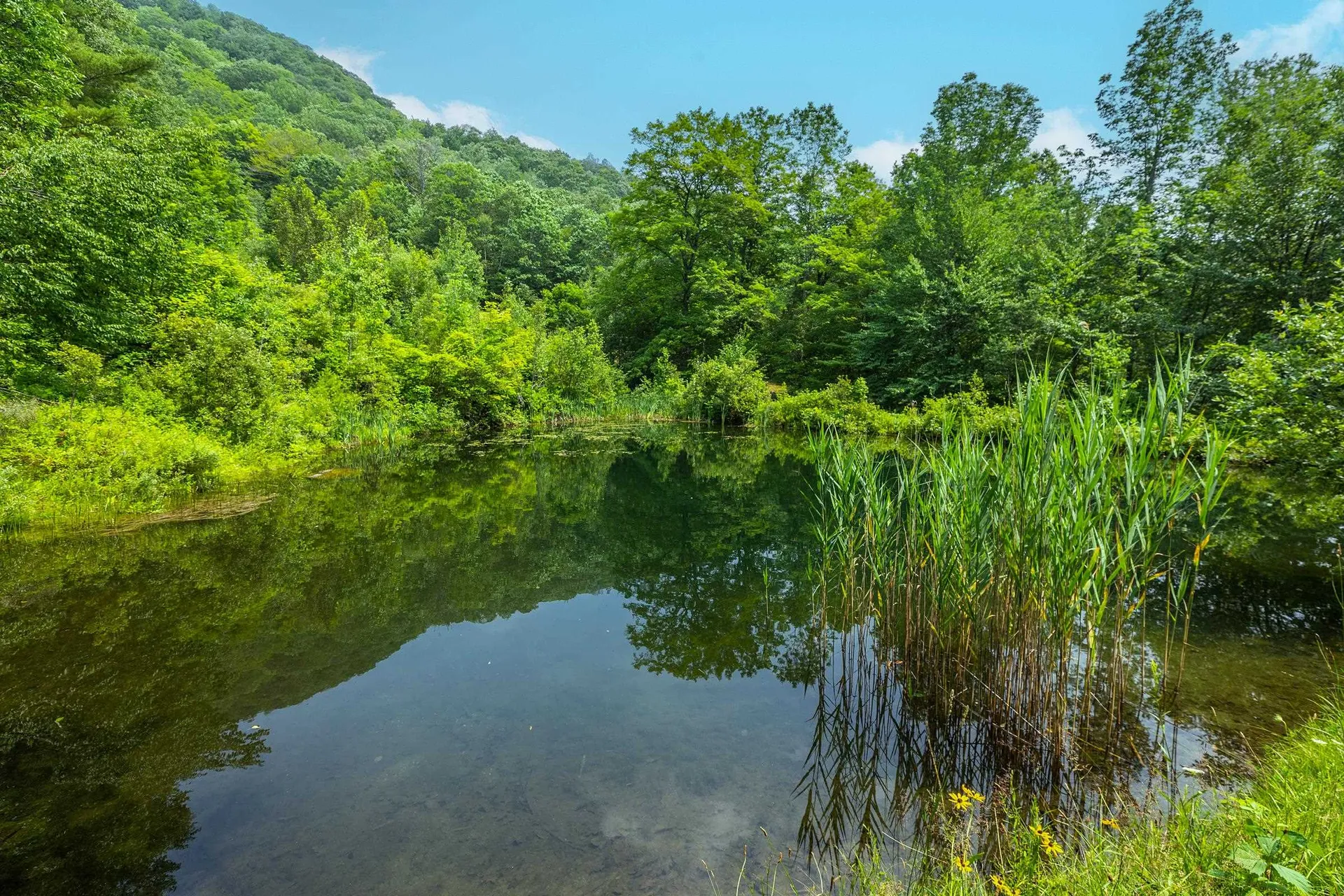 4452 Stage Road Barnard VT 05031