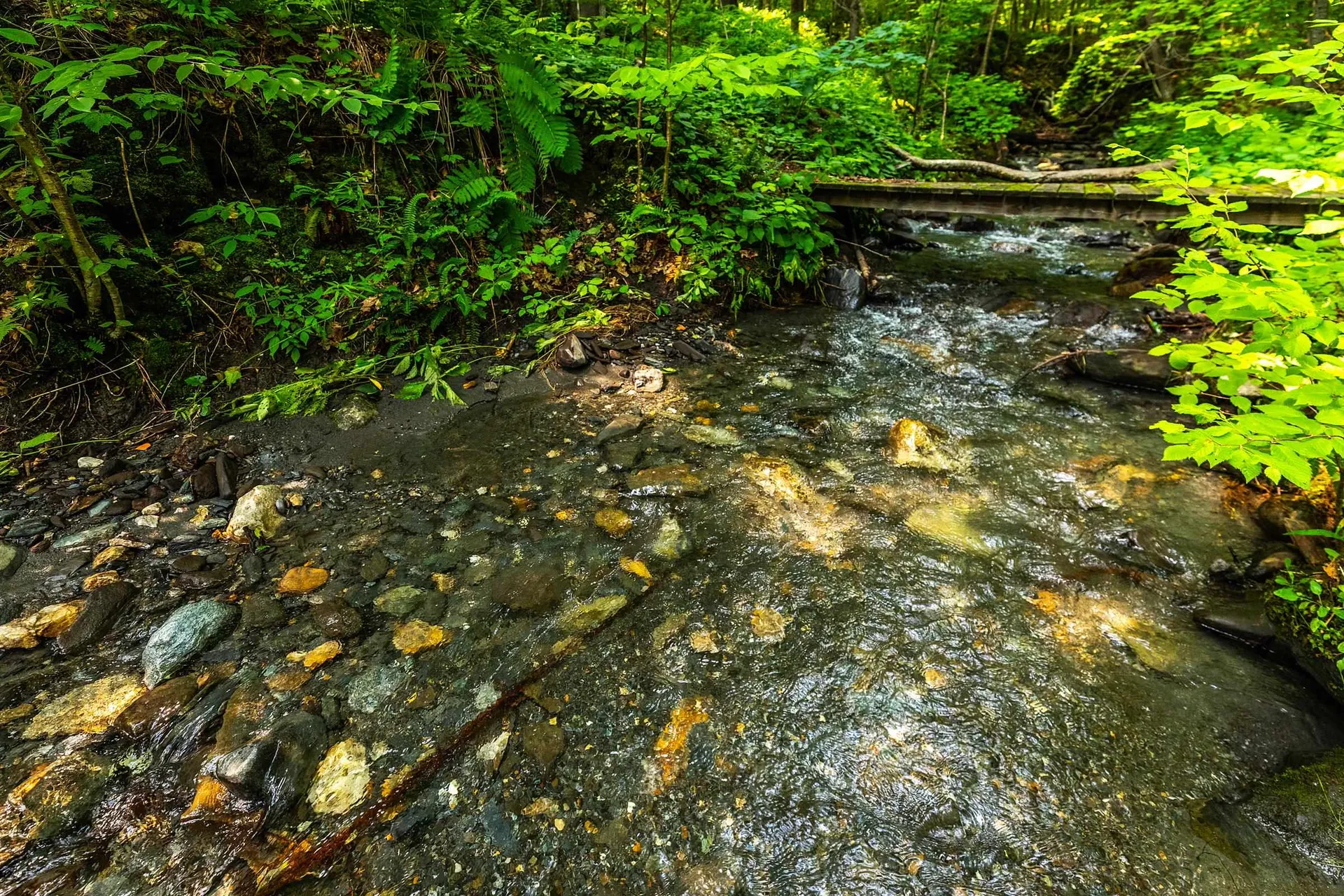 4452 Stage Road Barnard VT 05031