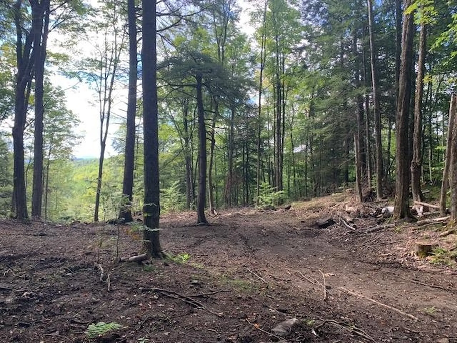 4452 Stage Road Barnard VT 05031