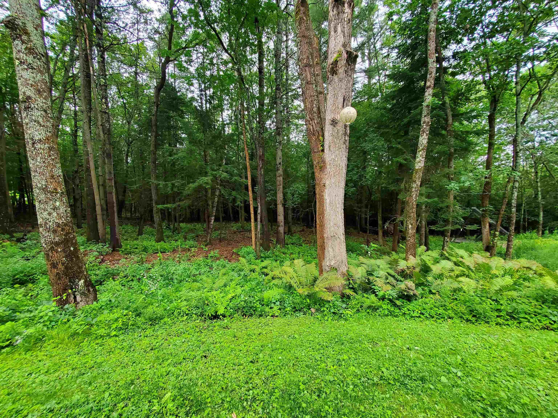 32 Patricia Court Enfield NH 03748