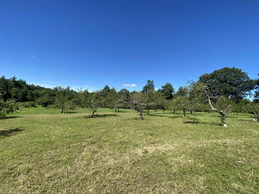 310 Pine Hill Road Hollis NH 03049