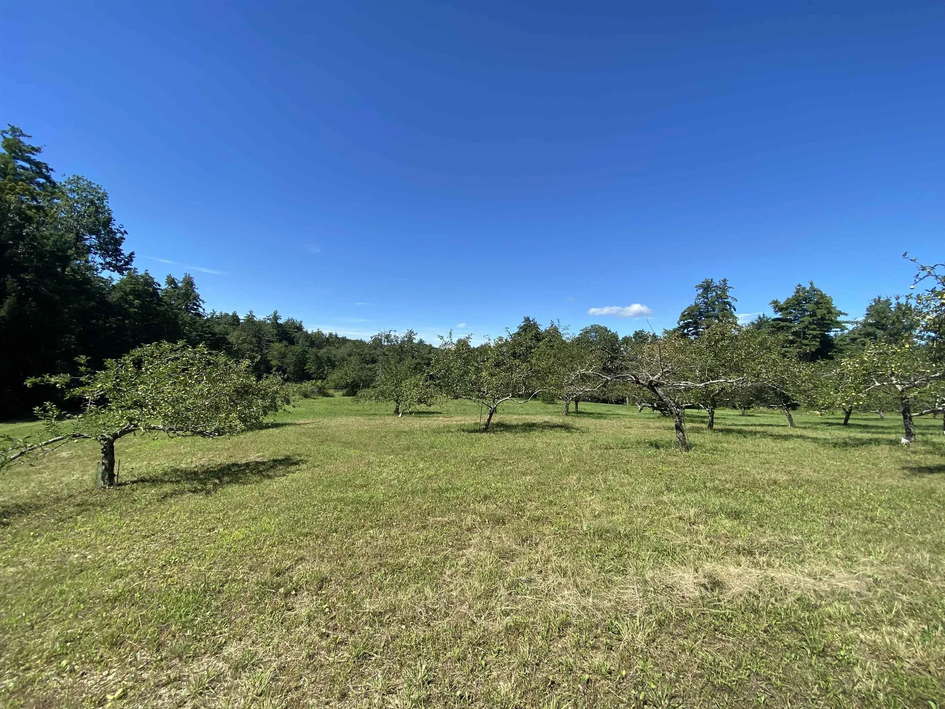 310 Pine Hill Road Hollis NH 03049
