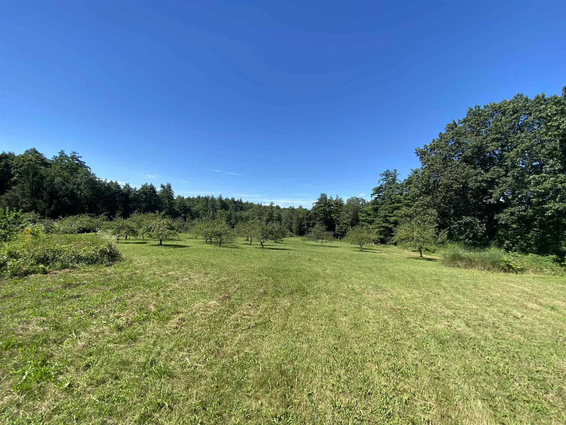 310 Pine Hill Road Hollis NH 03049