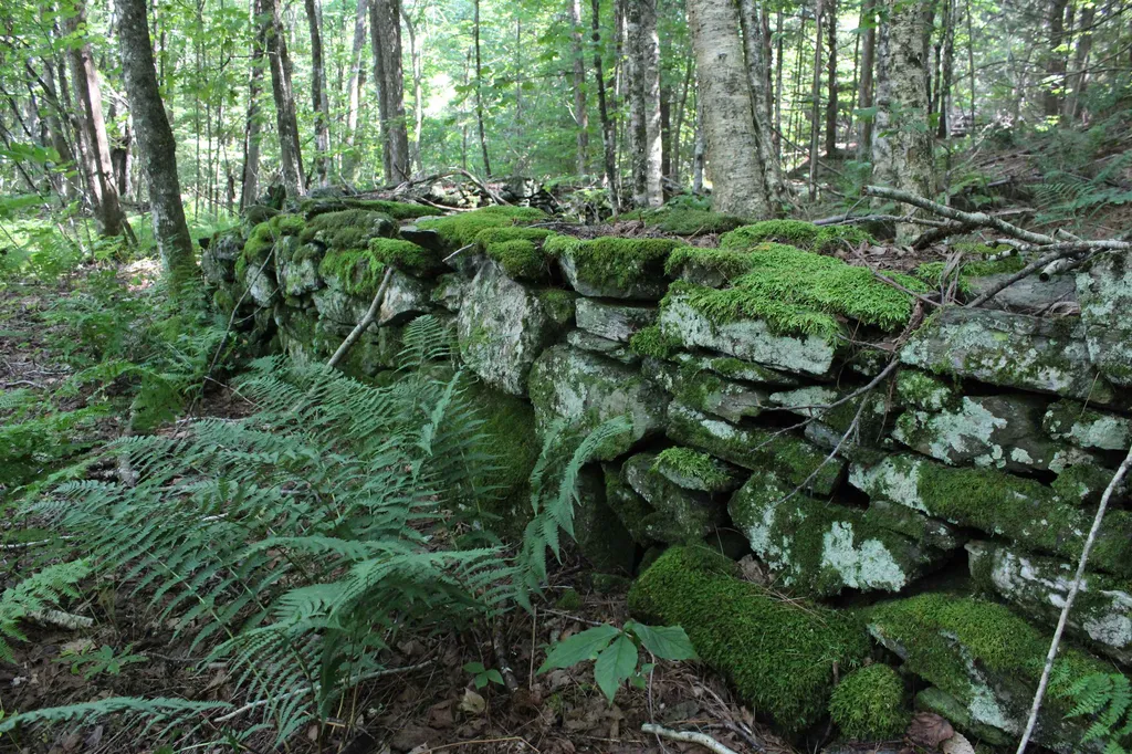 494 Arnold Road Bethel VT 05032