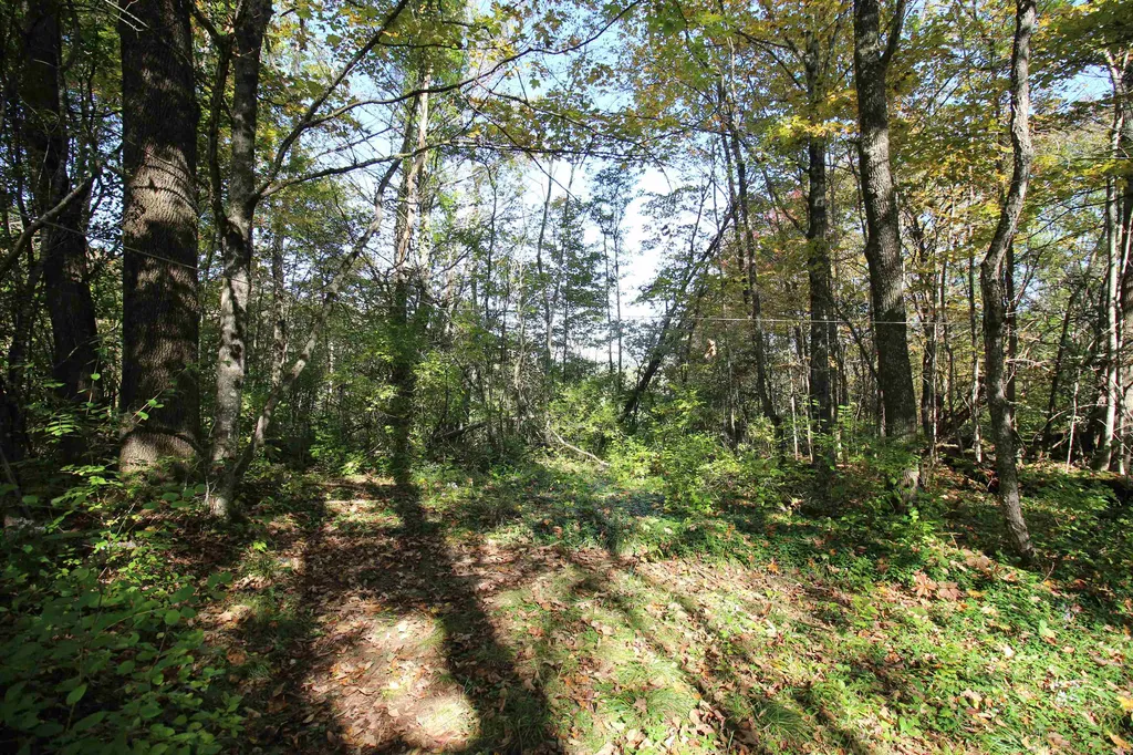 494 Arnold Road Bethel VT 05032