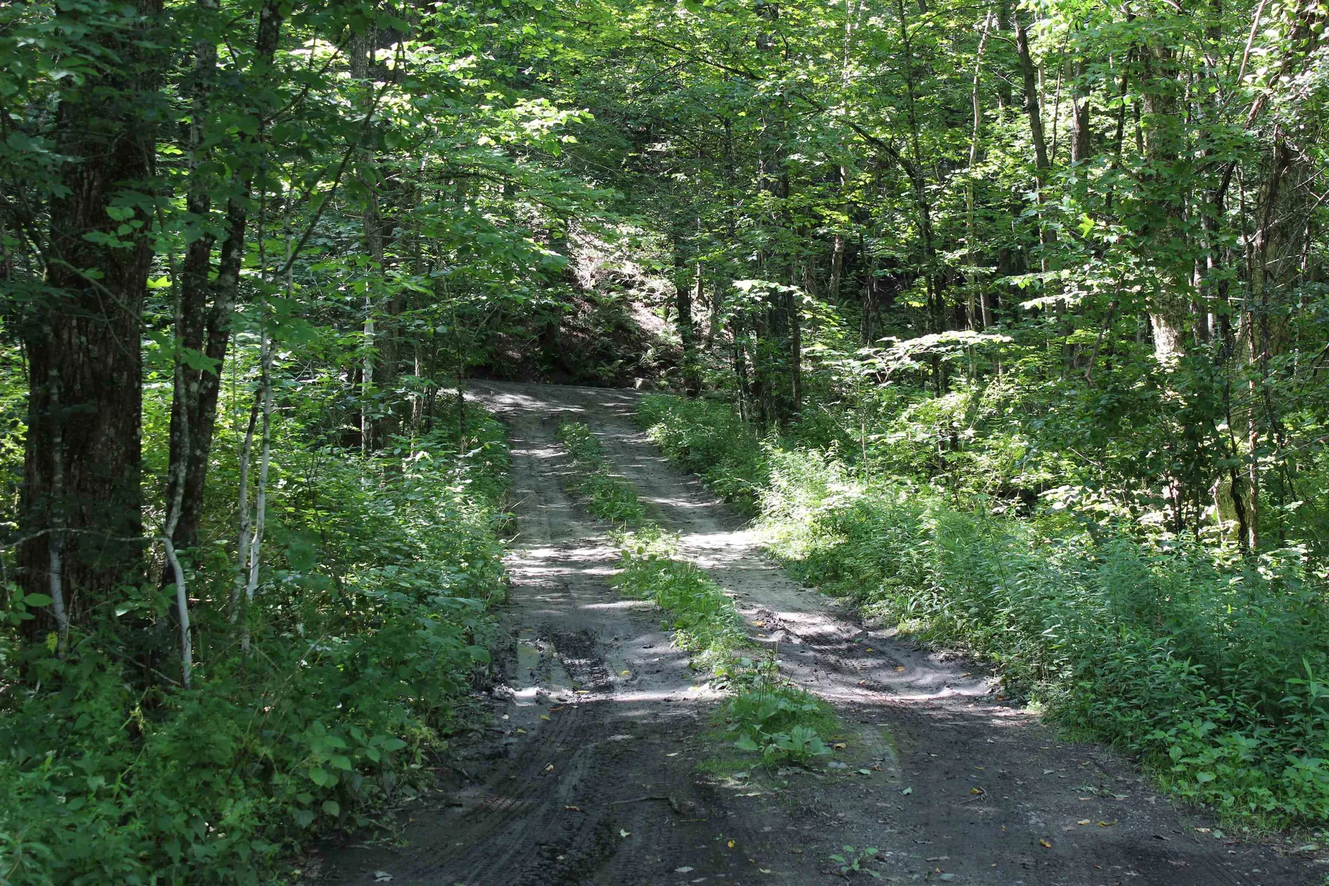 494 Arnold Road Bethel VT 05032