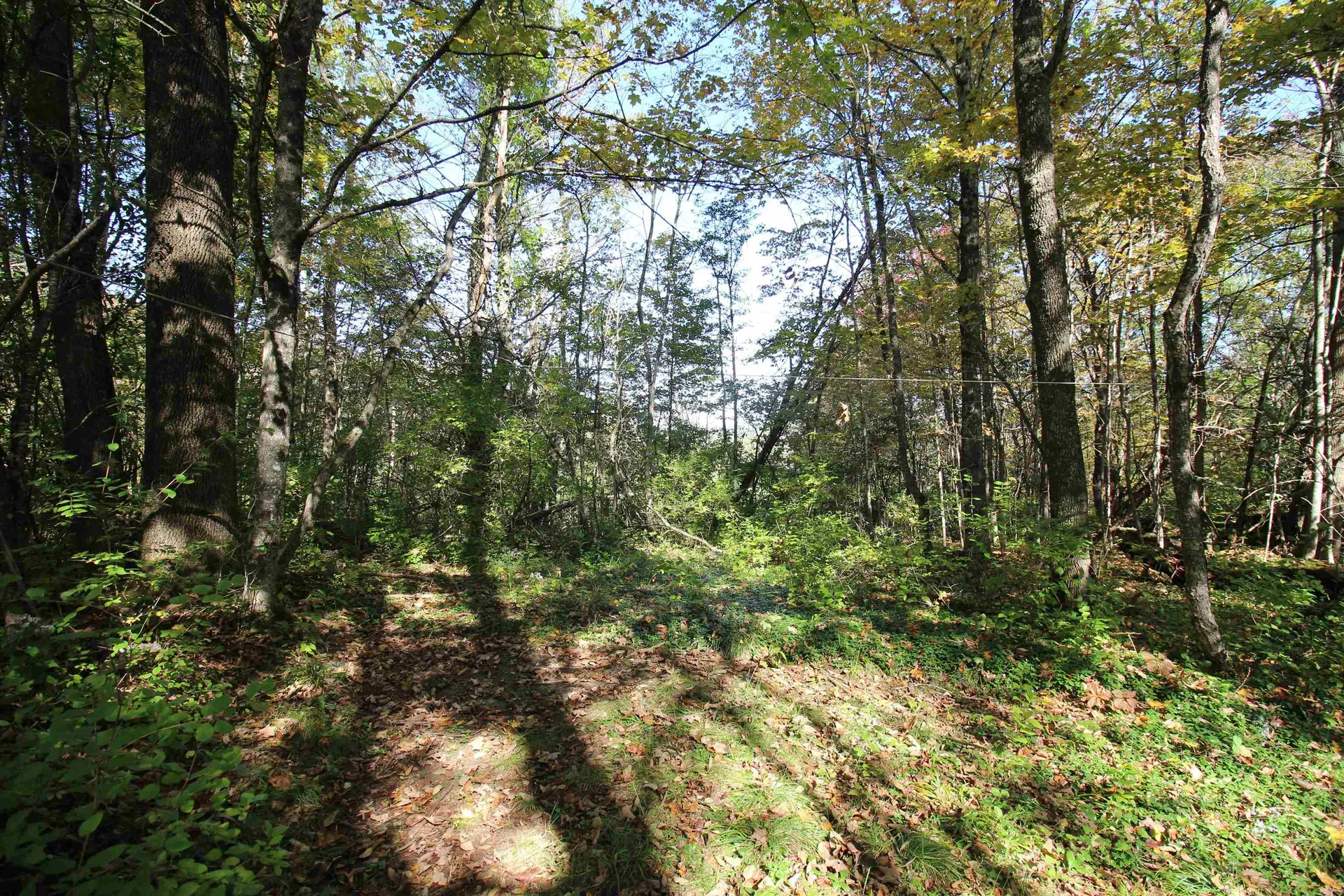 494 Arnold Road Bethel VT 05032