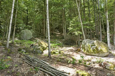 221 Newman Drew Road Ossipee NH 03890