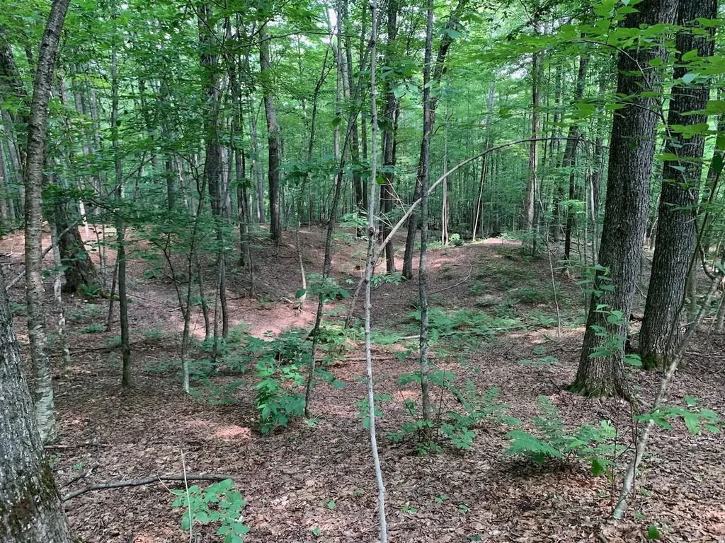 0 Leonard Road Pomfret VT 05067