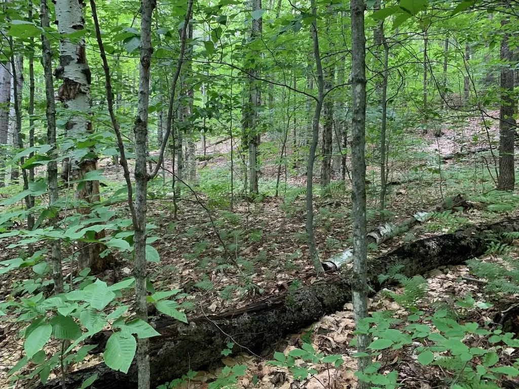 0 Leonard Road Pomfret VT 05067