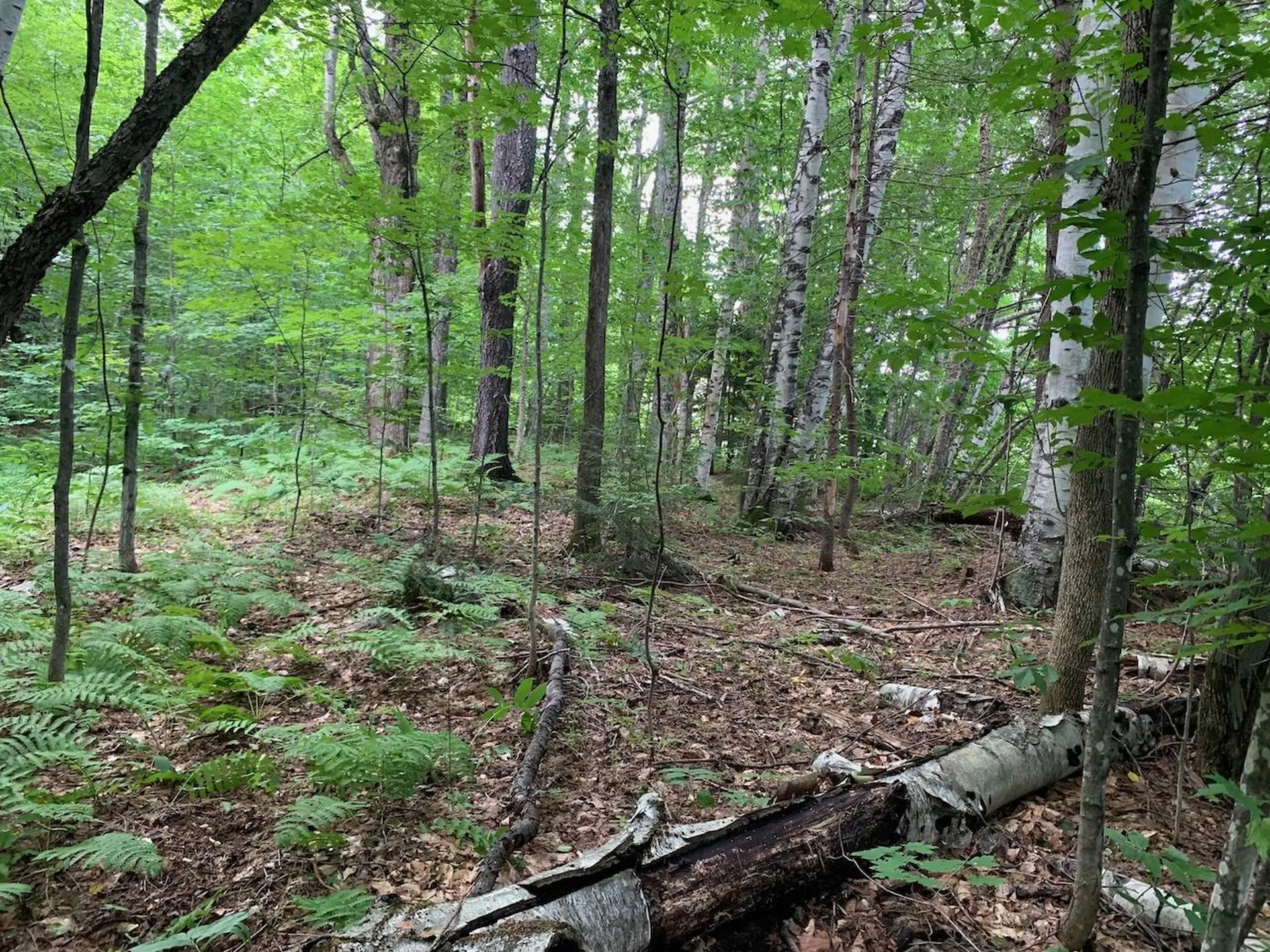 0 Leonard Road Pomfret VT 05067