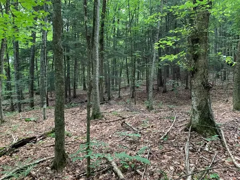 0 Leonard Road Pomfret VT 05067