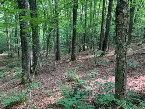 0 Leonard Road Pomfret VT 05067