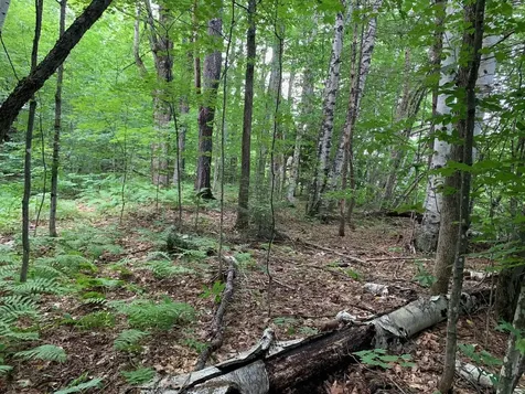0 Leonard Road Pomfret VT 05067