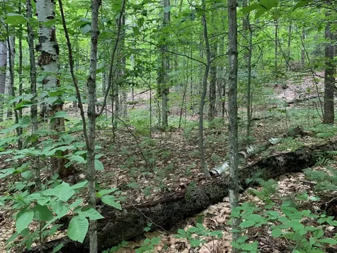 0 Leonard Road Pomfret VT 05067