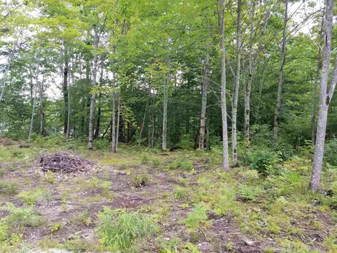 Lot 119 Robinhood Road Wakefield NH 03830