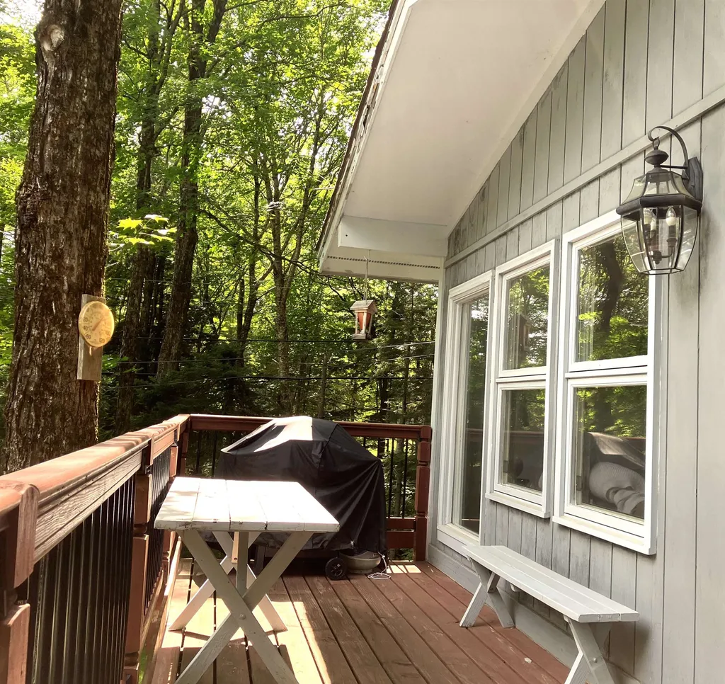 18 Pond Loop Wilmington VT 05363