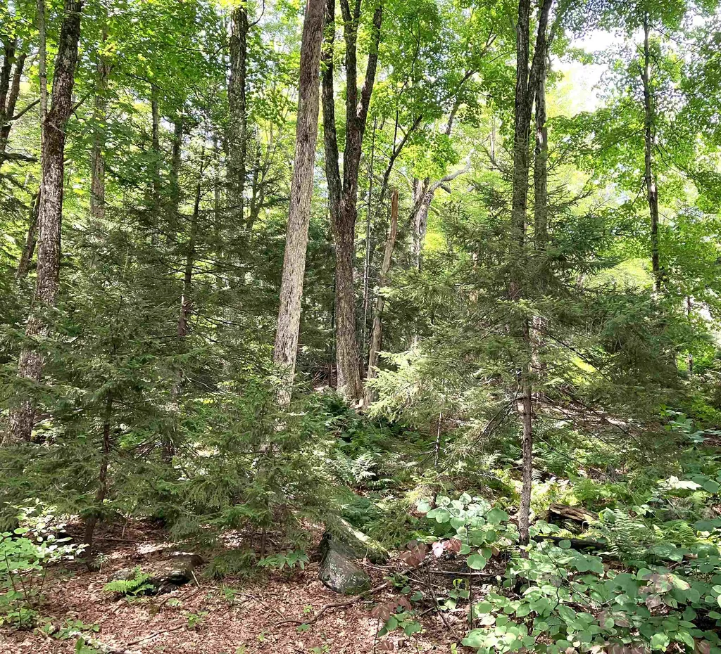 18 Pond Loop Wilmington VT 05363