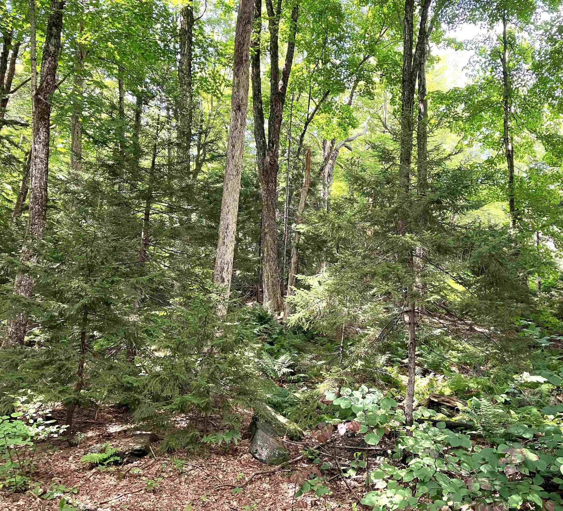 18 Pond Loop Wilmington VT 05363