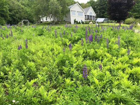 835 Quarry Road Chester VT 05143