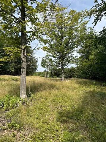 17 Skyline Way Madison NH 03849