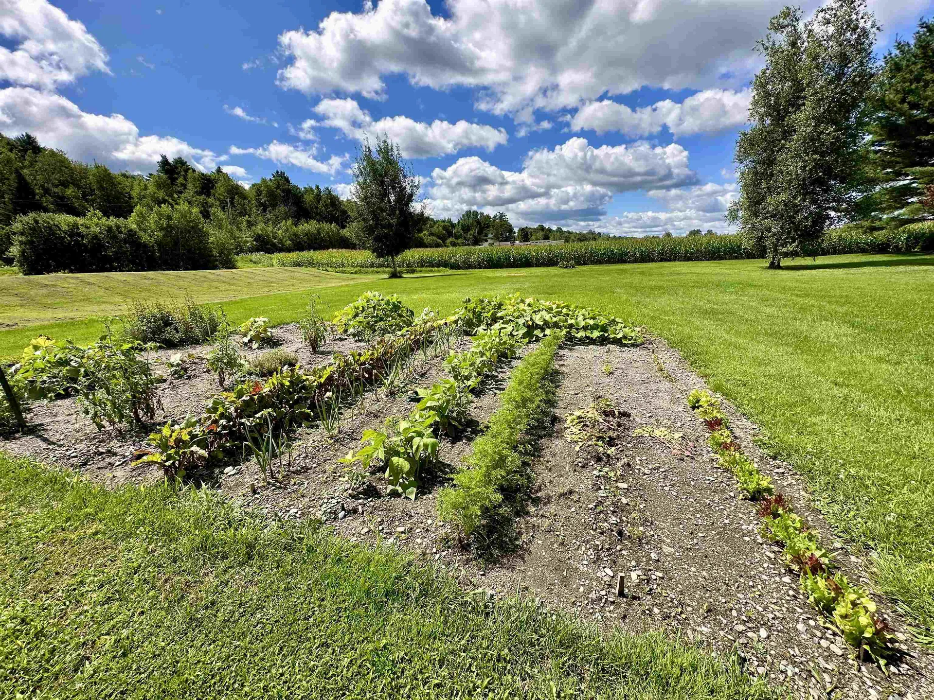 520 Montgomery Road Berkshire VT 05447