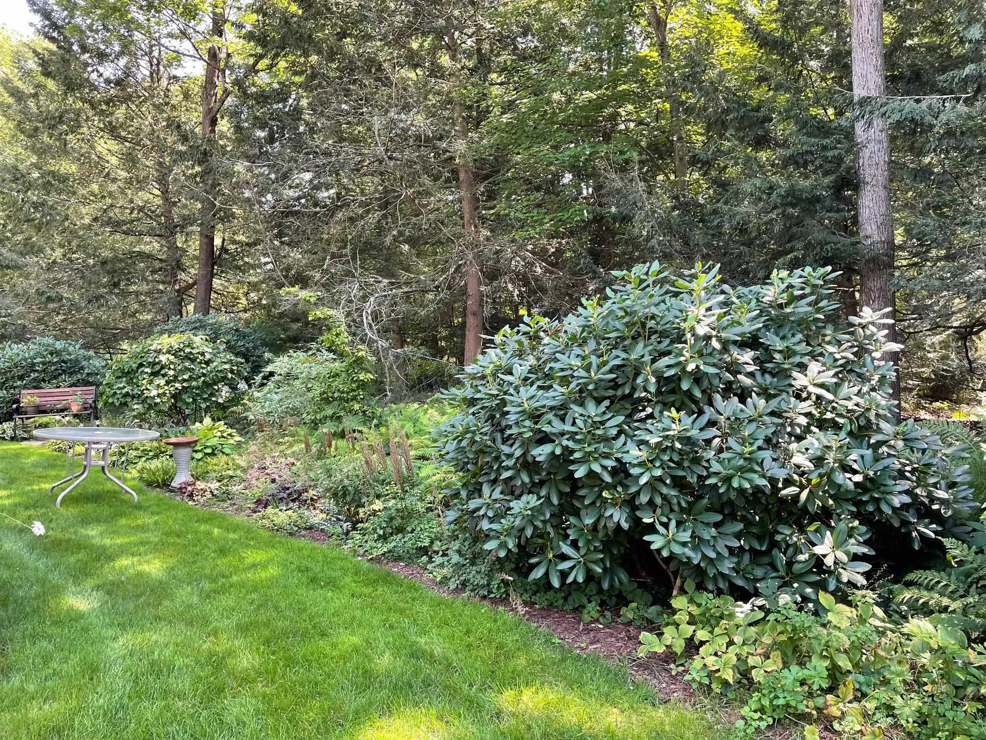 5 Patricia Avenue Exeter NH 03833