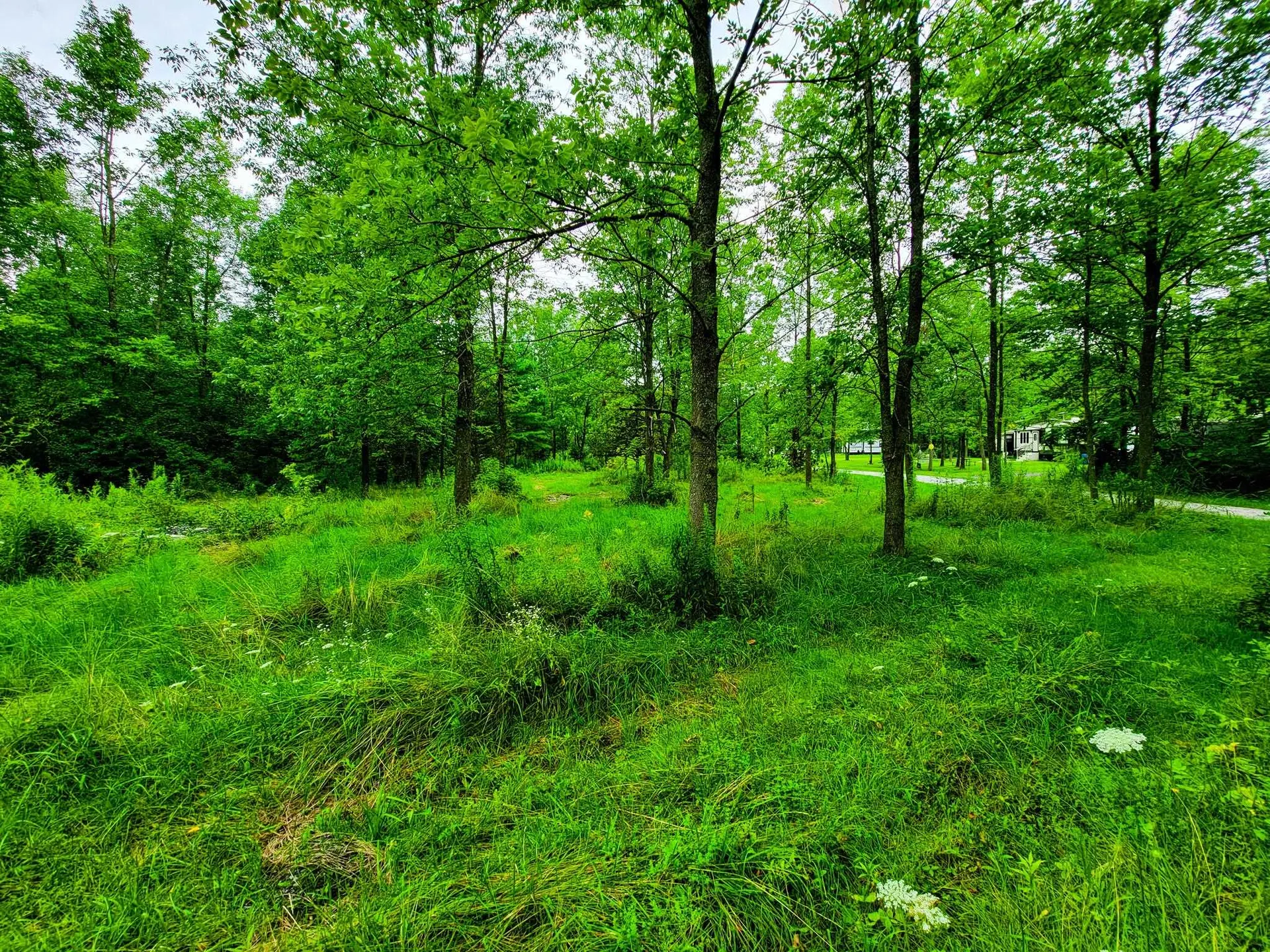 3 Frigate Road Grand Isle VT 05458