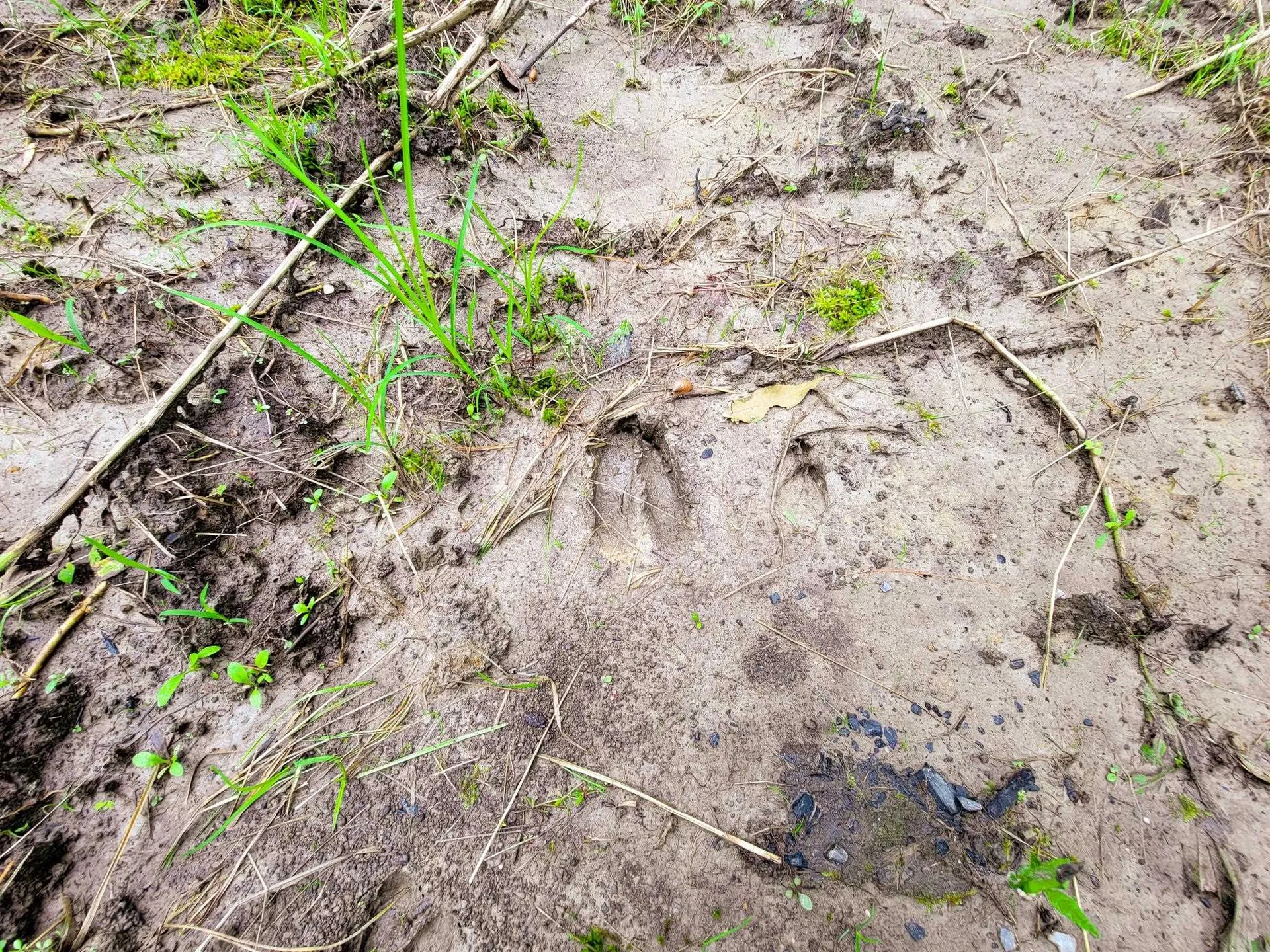 3 Frigate Road Grand Isle VT 05458