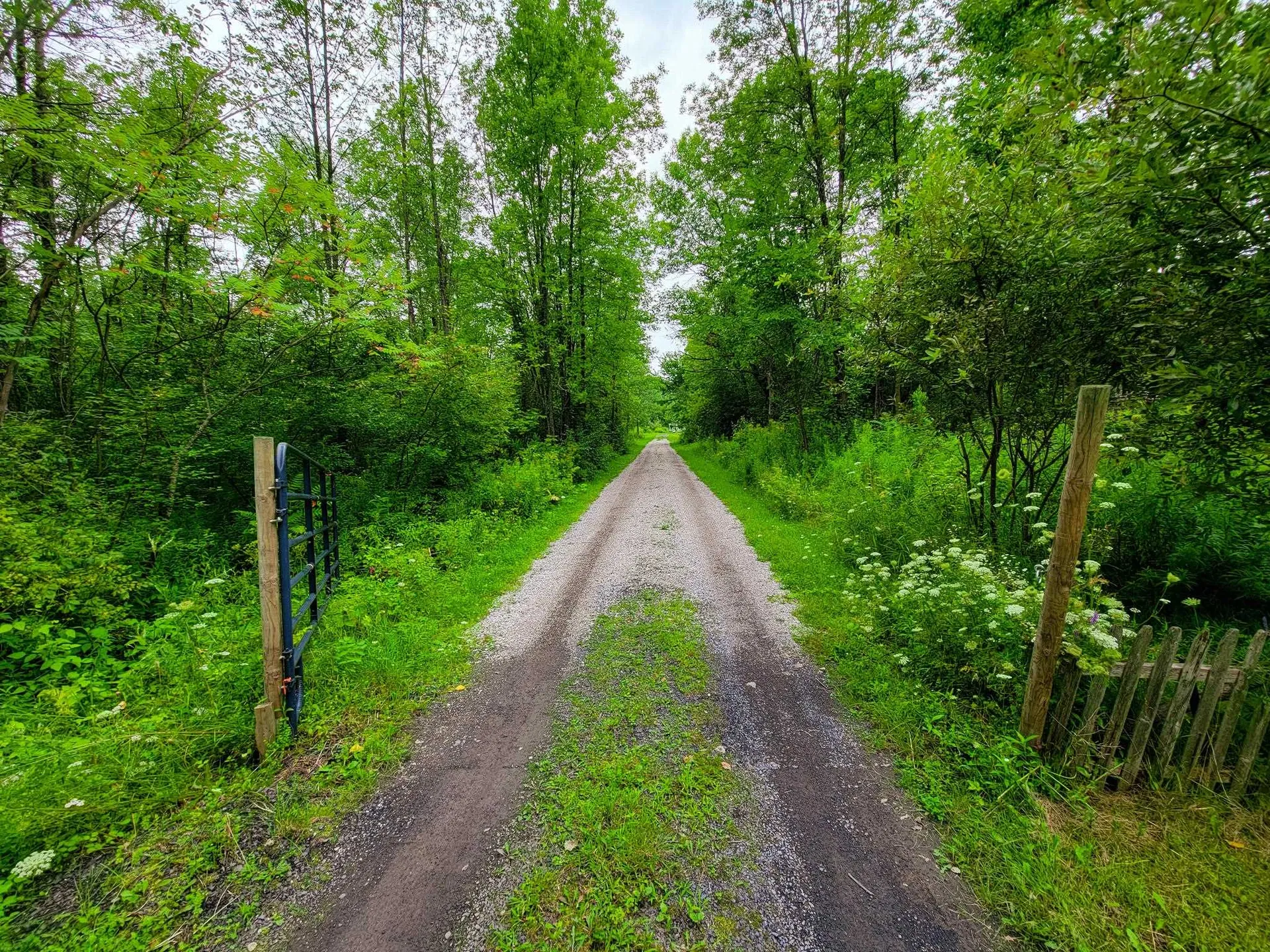 3 Frigate Road Grand Isle VT 05458