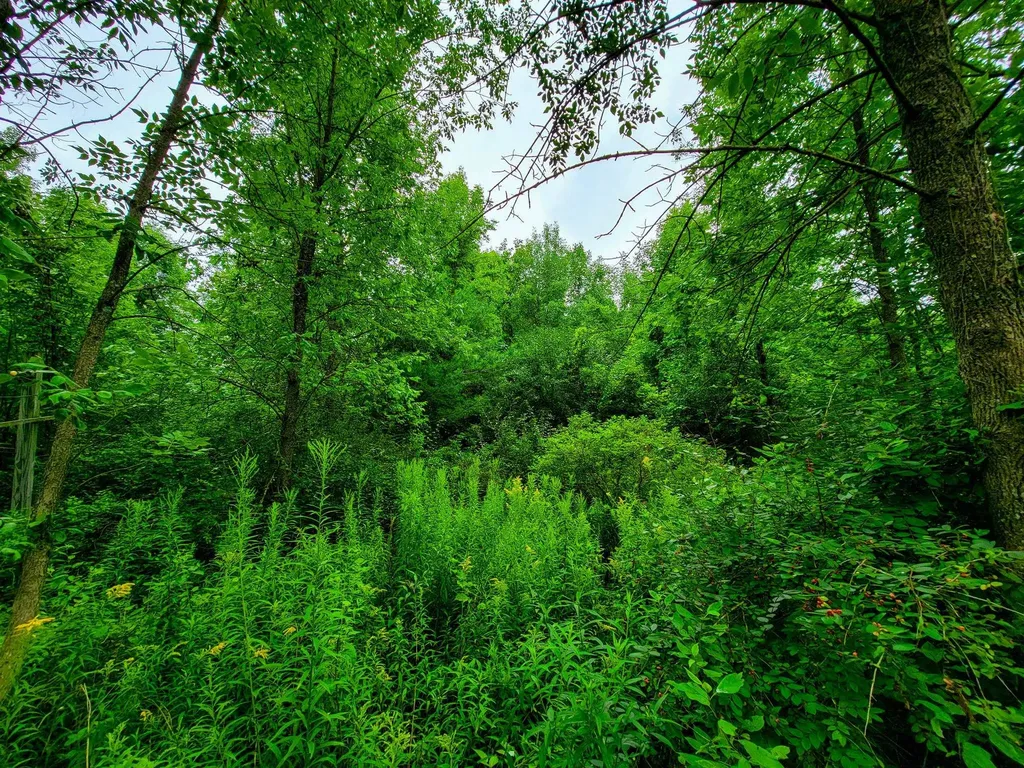 5 Brigantine Road Grand Isle VT 05458