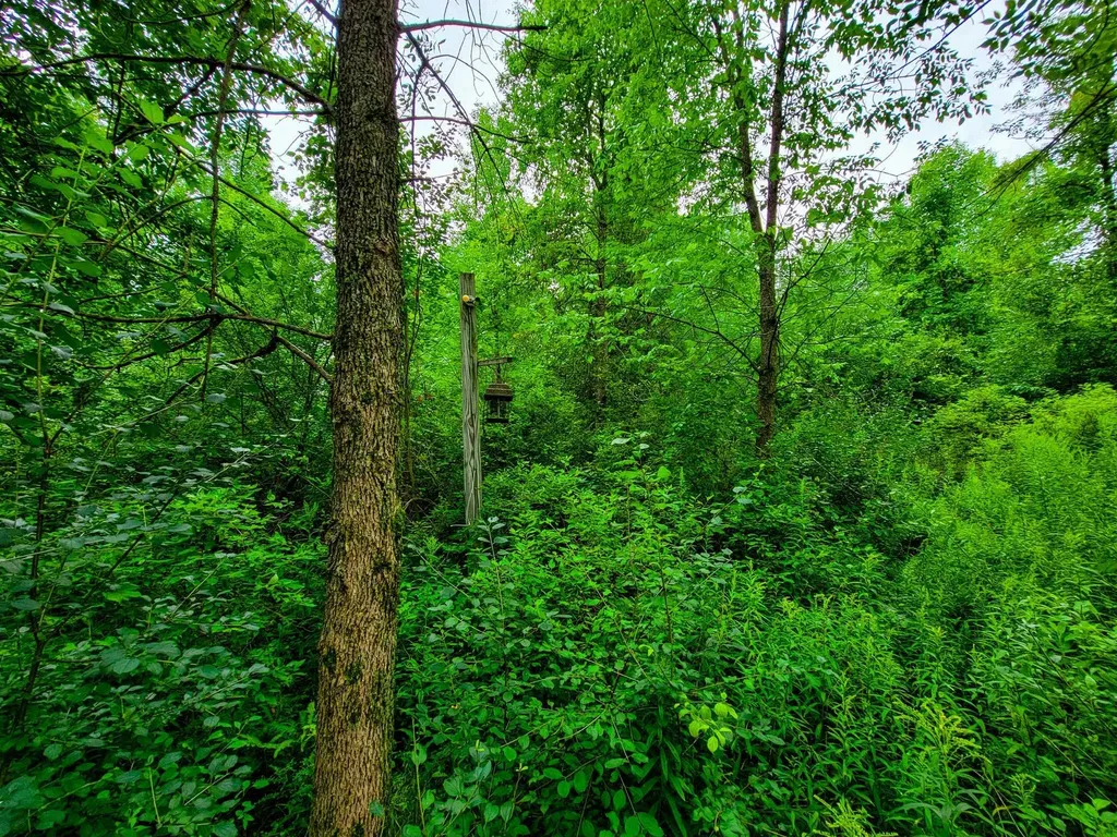 5 Brigantine Road Grand Isle VT 05458