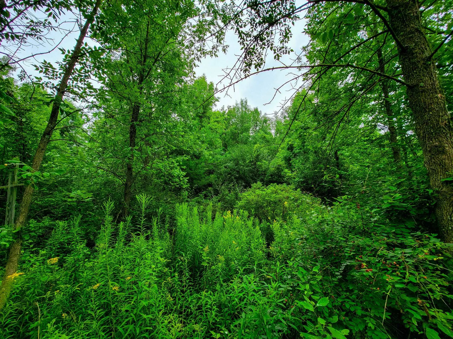 5 Brigantine Road Grand Isle VT 05458