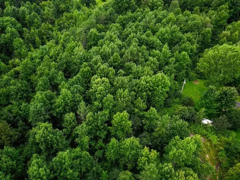 5 Brigantine Road Grand Isle VT 05458