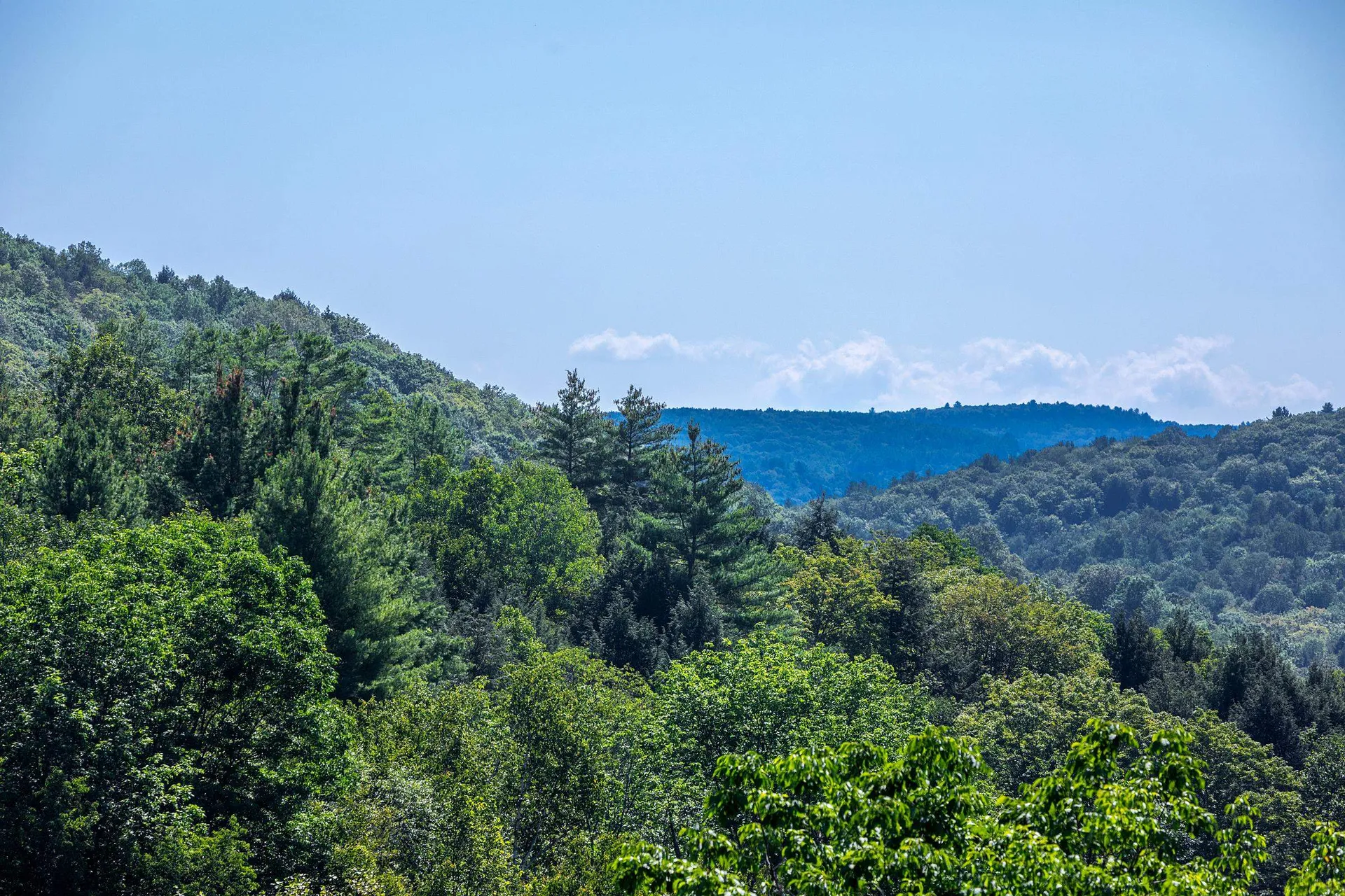 167 Limey Lane Pomfret VT 05053