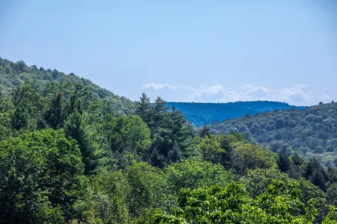 167 Limey Lane Pomfret VT 05053