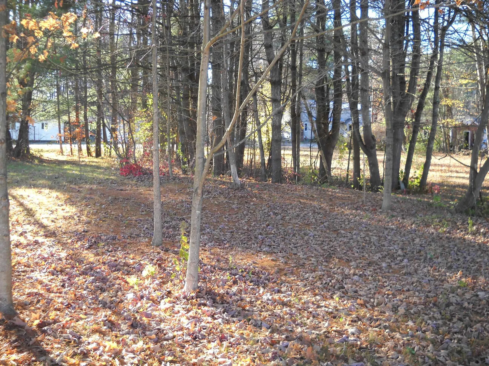 237 Us Route 5 Fairlee VT 05045