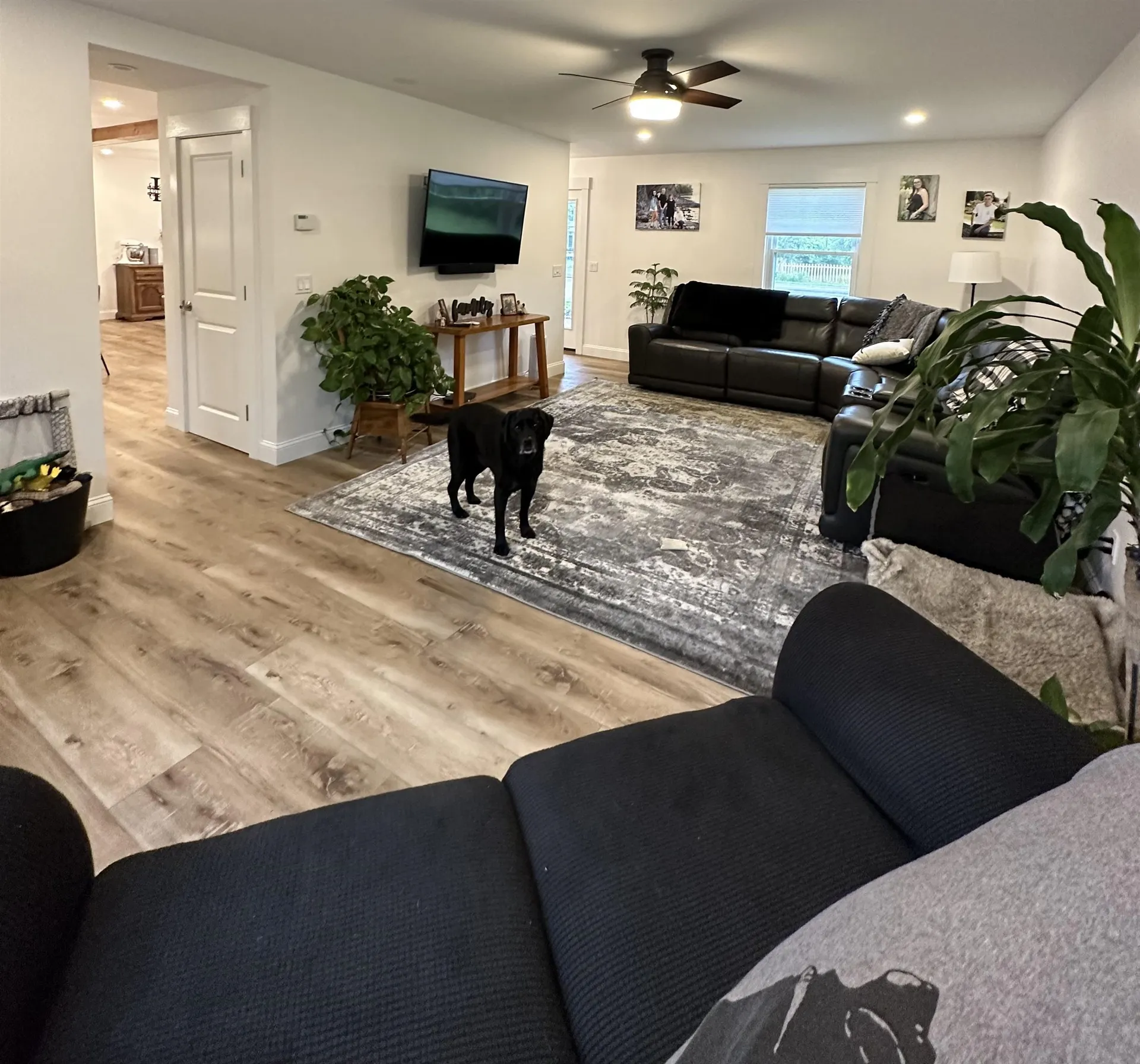 593 Church Road Colchester VT 05446